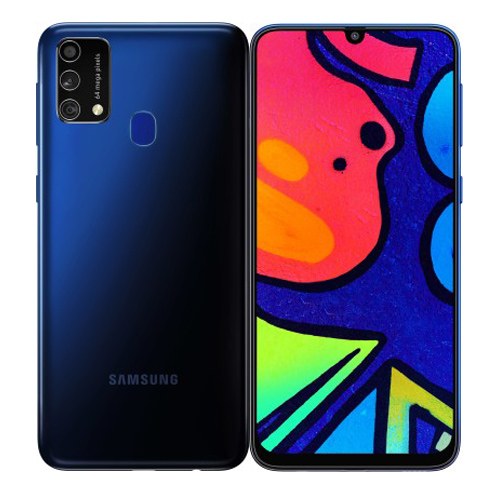 Samsung Galaxy F41 Download-Modus